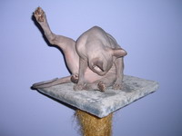 Увеличить фотографию