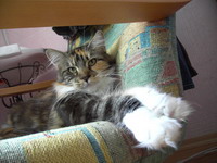 Enlarge photo